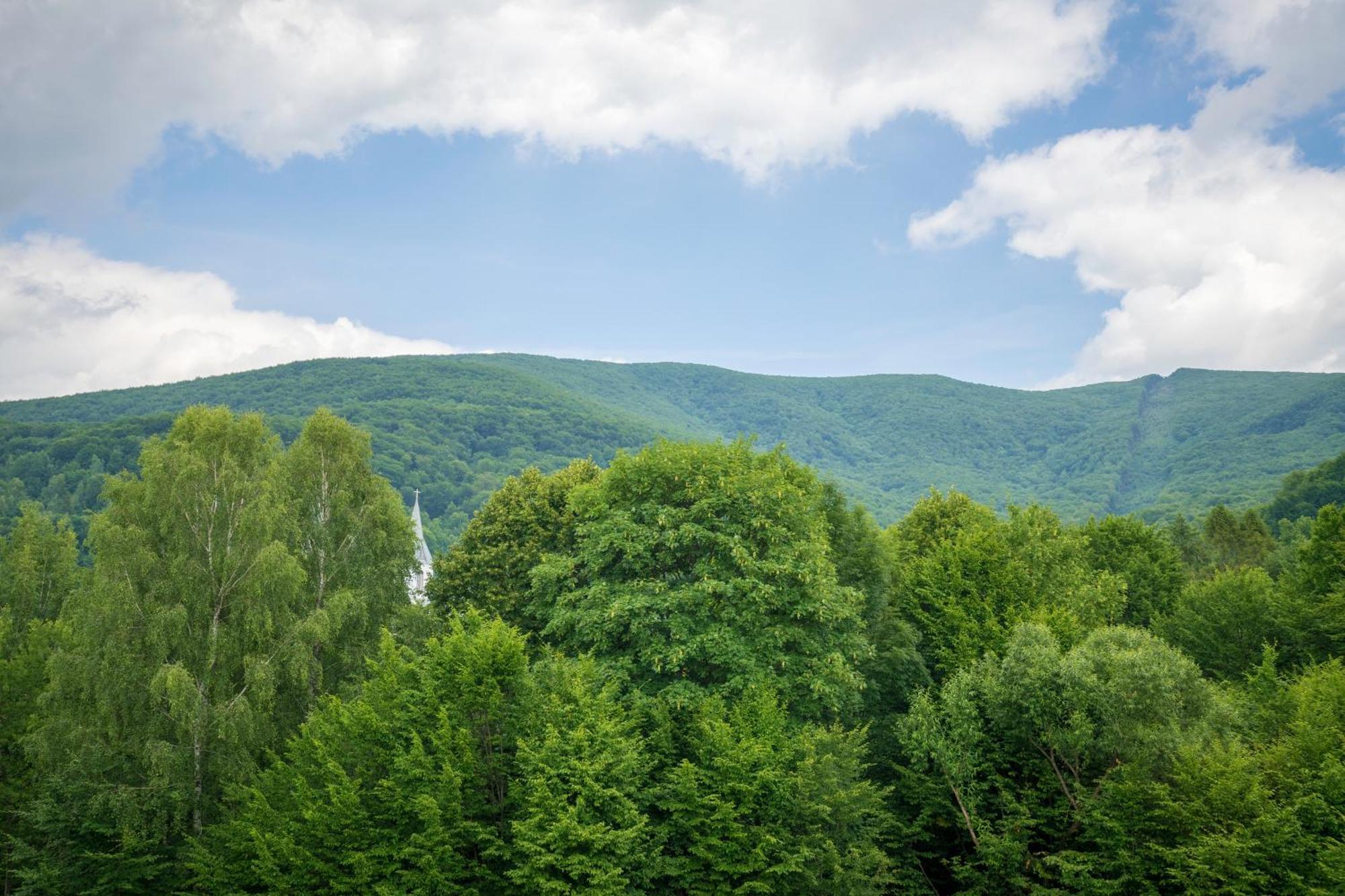 Vovk Gasthaus Kékesfüred Kültér fotó